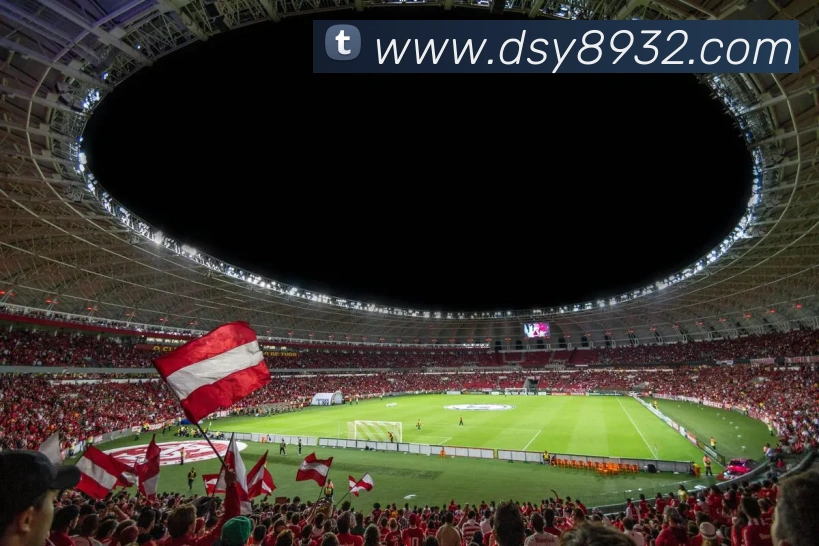 大三元官网平台登录APP 体育赛事宣传图